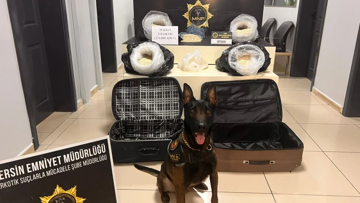 324 bin uyuşturucu hap ele geçirildi