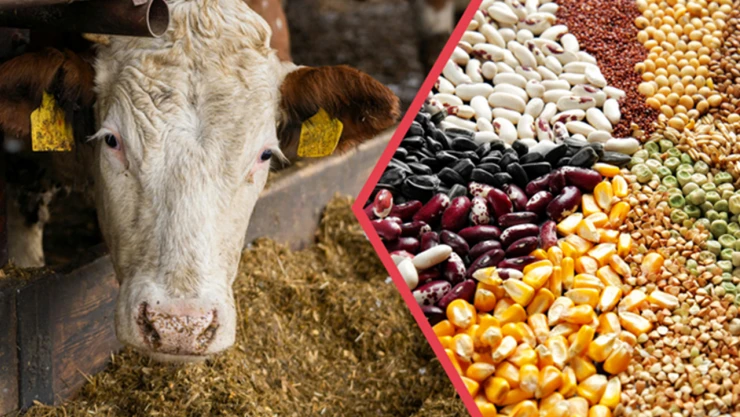 345 milyonluk tarımsal destek ödemesi çiftçilerin hesaplarına aktarılıyor