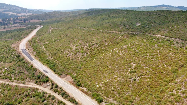 4 yıl önce yanan alanlar, dikilen fidanlarla yeniden yeşerdi