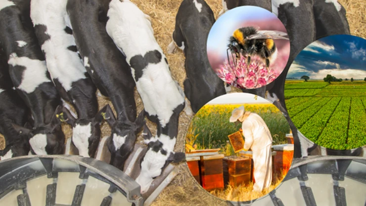 5.1 milyar liralık destekleme ödemeleri çiftçilerin hesaplarına aktarılıyor