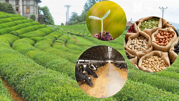 5,5 milyar liralık destekleme ödemesi çiftçilerin hesaplarında