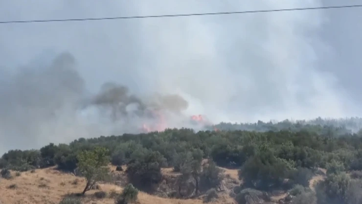 5 hektar alan küle döndü