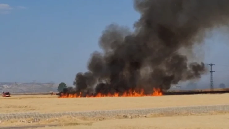 50 dönüm buğday ekili alan yandı