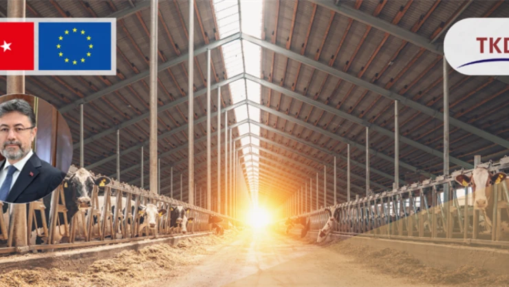 50 milyon avro hibe için başvurular 2 Haziran'da başlıyor