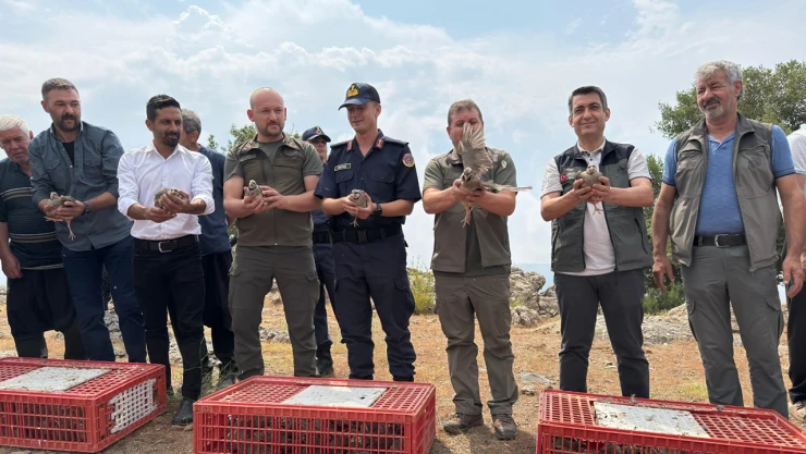 500 keklik doğaya salındı