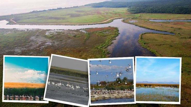 6 bin 418 adet sulak alan kayıt altına alındı