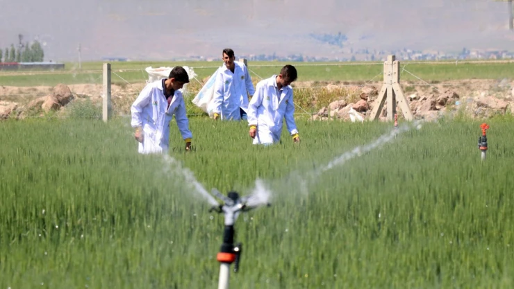 6 ilde, 7 Tematik Tarım Meslek Lisesi açıldı