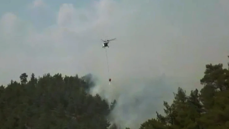 6 ilden Kahramanmaraş'a gelen ekipler orman yangınına müdahale ediyor
