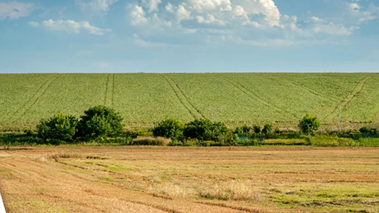 6 soruda 2B süreci! Ayrıntılar tek tek anlatıldı