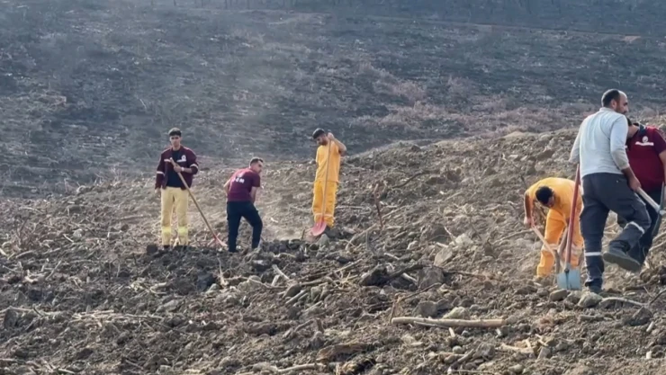 6 Şubat deprem şehitleri için 44 bin fidan dikilecek