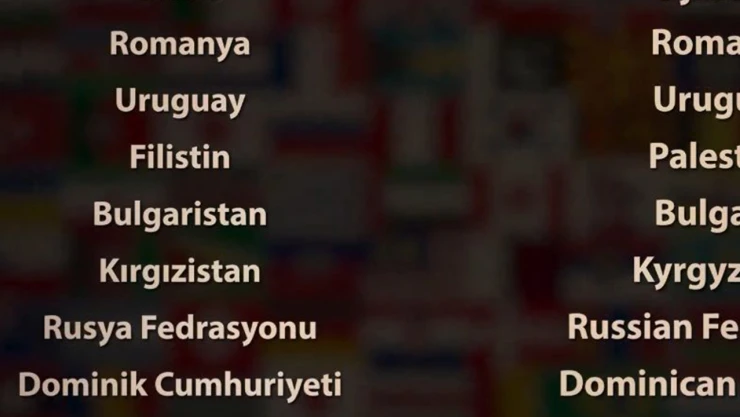 6 Şubat depreminin birinci yıl dönümünde uluslararası yardım ekibine teşekkür