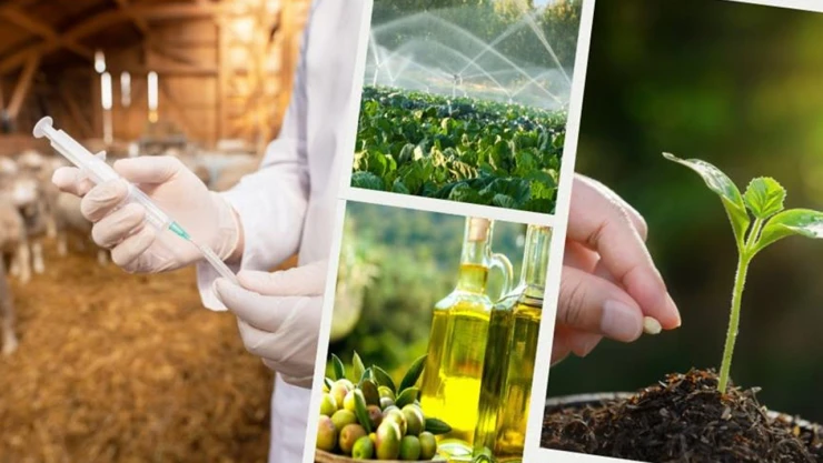 712 milyon liralık destekleme ödemesi hesaplarda