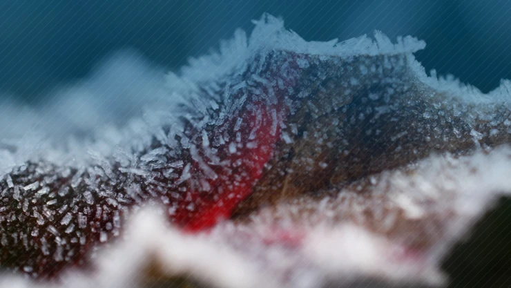798 milyon çiftçilerin hesaplarına aktarıldı