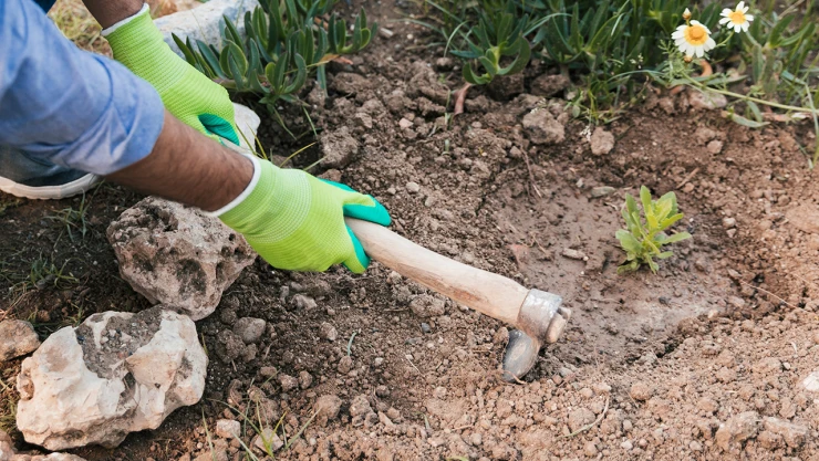 81 ilin gönüllü gençleri tarımda aktif rol üstlenecek