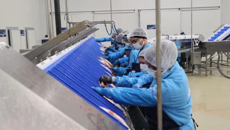 AB destekli su ürünleri işleme, şoklama ve depolama tesisi açıldı