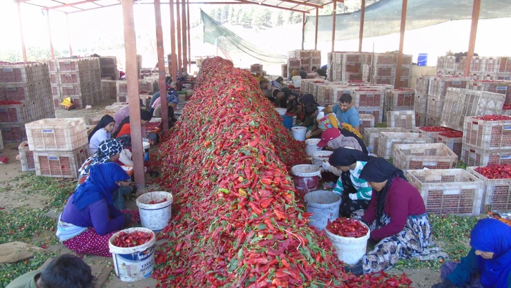 Acı mesaisi başladı