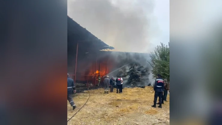 Ahırda yangın çıktı! 170 küçükbaş hayvan telef oldu