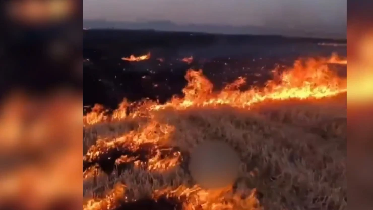 Anız yaktığı iddiasıyla bir kişi gözaltına alındı