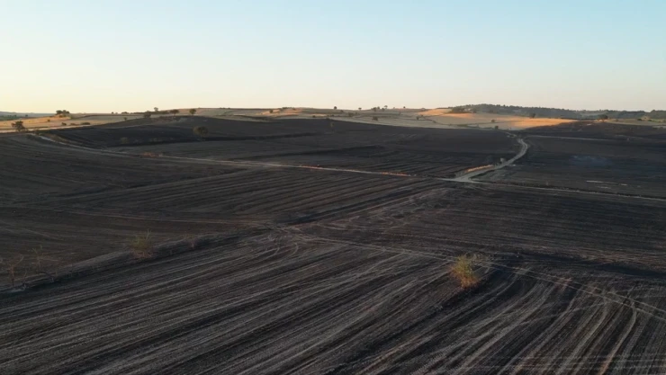 Anız yangınında 2 bin 500 dekar alan zarar gördü