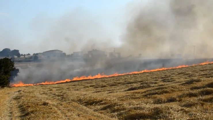 Anız yangınında yaklaşık 50 dekar tarım arazisi zarar gördü