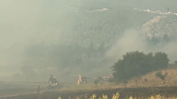 Anızda başlayıp ormana sıçrayan yangın kontrol altına alındı