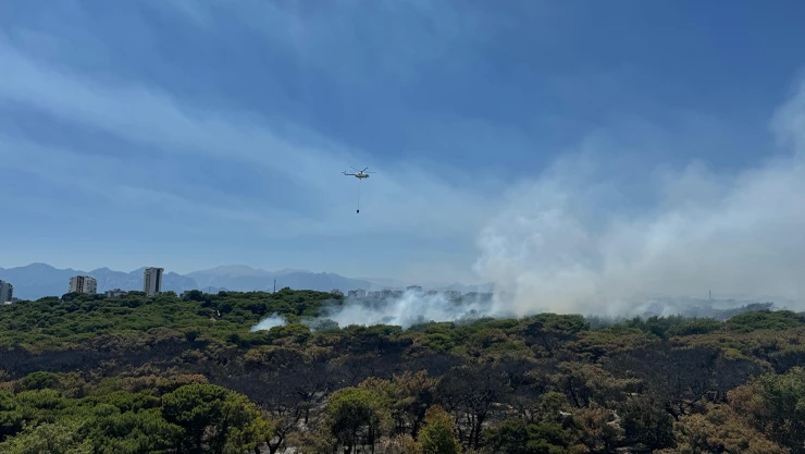 Antalya'da ormanlık alanda çıkan yangına müdahale ediliyor