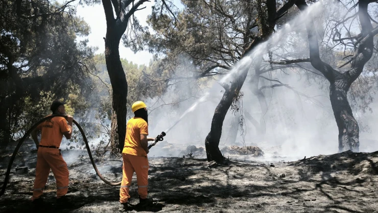 Antalya'daki orman yangını kontrol altına alındı