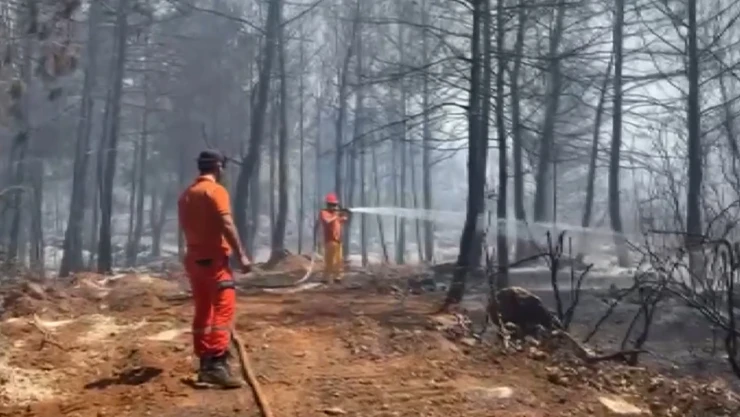Antalya'nın 3 ilçesi alevlere teslim oldu