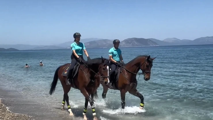 Atlı jandarma timi göreve başladı