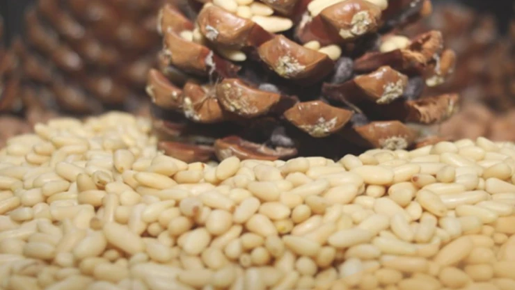 Avrupa Birliği'nden bir ürüne daha coğrafi işaret tescili