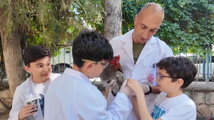 Ayağı kopan horoz için protez üretildi