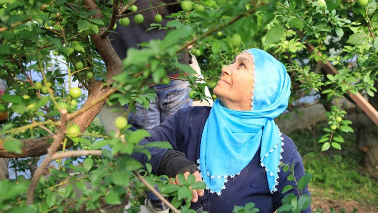 Bakan Göktaş, 'Kadın girişimciler için tek noktadan destek sağlanıyor'