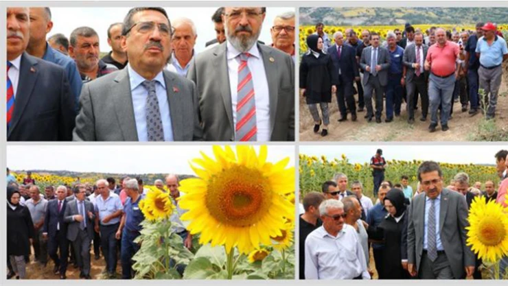 Bakan Yardımcısı Pakdil: Popülasyonda patlama oldu