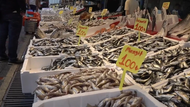 Balıkçı tezgahlarında bolluk yaşanıyor