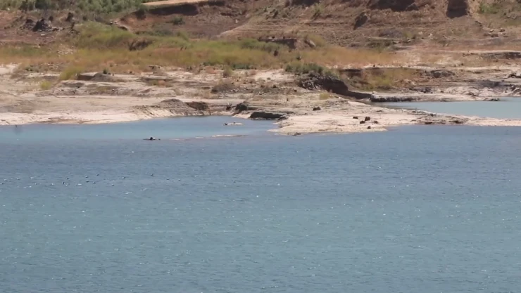 Barajlar alarm veriyor! Su seviyesi yüzde 2