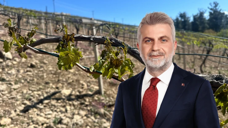 Başkan Görgel'den don felaketi sonrası açıklama, 'Boynumuzun borcu'