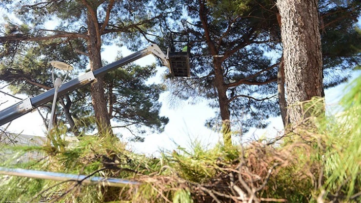 Başkan Okay: Daha yeşil ve güzel bir Dulkadiroğlu için çalışıyoruz