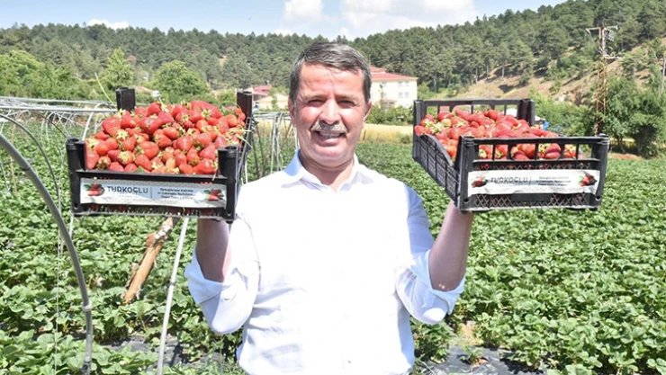 Başkan Okumuş: Türkoğlu tarımı, sağladığı can suyuyla ülke ekonomisine katkı sunuyor
