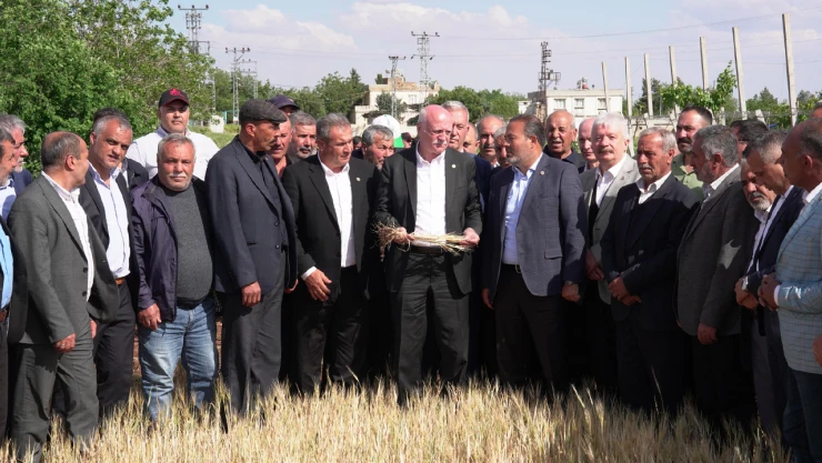 Bayraktar'dan Kahramanmaraş'ta zirai don incelemesi, 'Çiftçimiz para kazanamayacak'