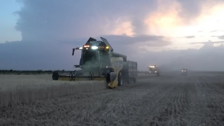 Bereketli topraklarda gece mesaisi