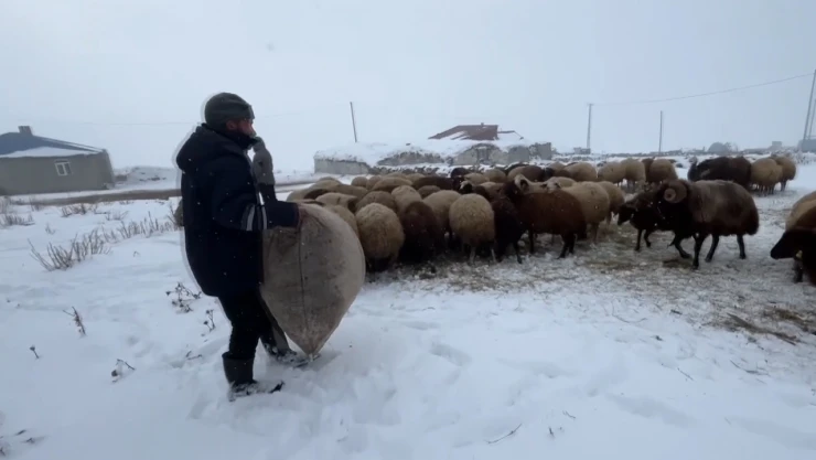 Besicilerin zorlu kış mesaisi başladı