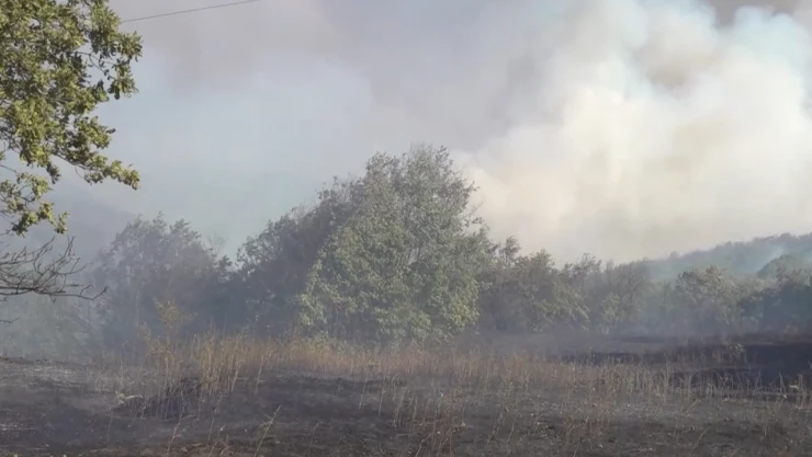 Bilecik'teki orman yangını büyük oranda kontrol altına alındı