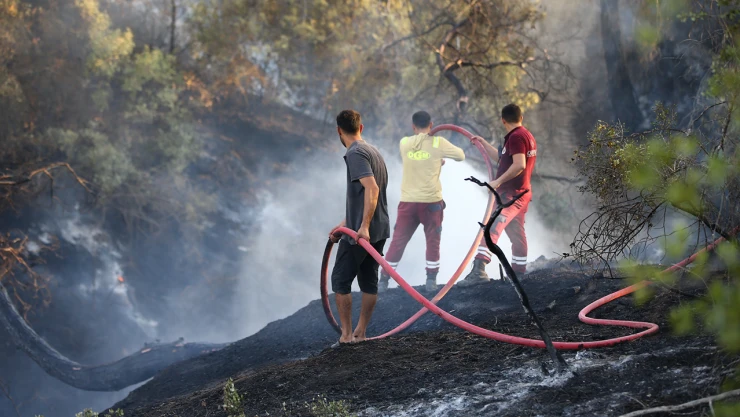 Bilim adamları, Türkiye ve Yunanistan'daki orman yangınlarının nedenini açıkladı