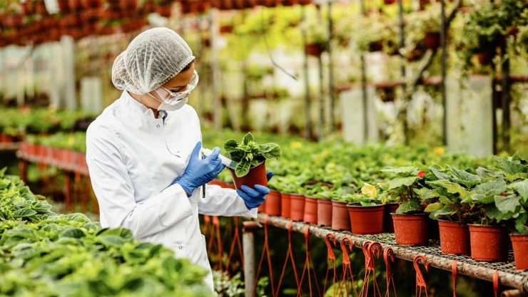 Bitkisel üretimde yeni desteklemelerin detayları belli oldu