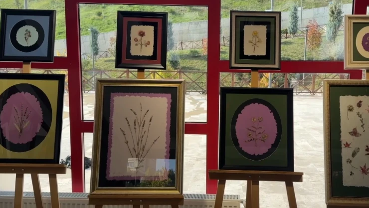 Botanik bahçesindeki bitkileri tablolarla geleceğe taşıyor