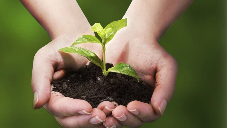 Bu uygulama hem çevreyi koruyor hem de ekonomiye katkı sağlıyor