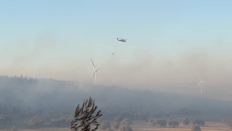 Çanakkale'deki orman yangınında 22 bağımsız bölüm ağır hasar gördü