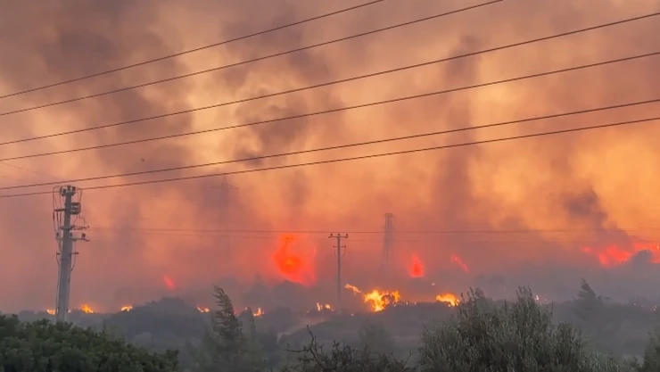 Çeşme'de ziraat alanında başlayan yangın orman sıçradı
