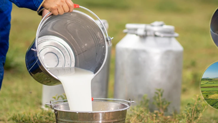 Çiftçilere 1,5 milyar liralık destek bugün hesaplarda