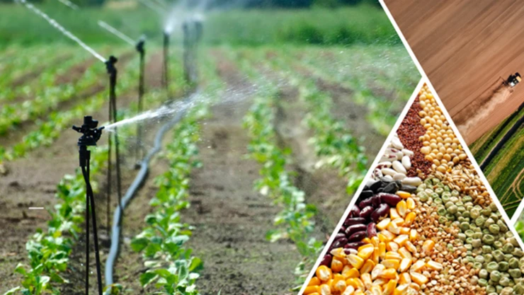 Çiftçilere 275 milyon liralık destekleme ödemesi hesaplara aktarılıyor